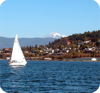 boat in bay