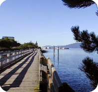 blvd park